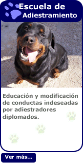 cortar a tajos Oblea volatilidad Residencia canina Mundocan Ciudad Real, escuela adiestramiento canino Ciudad  Real